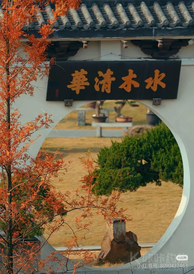 作品图 7
