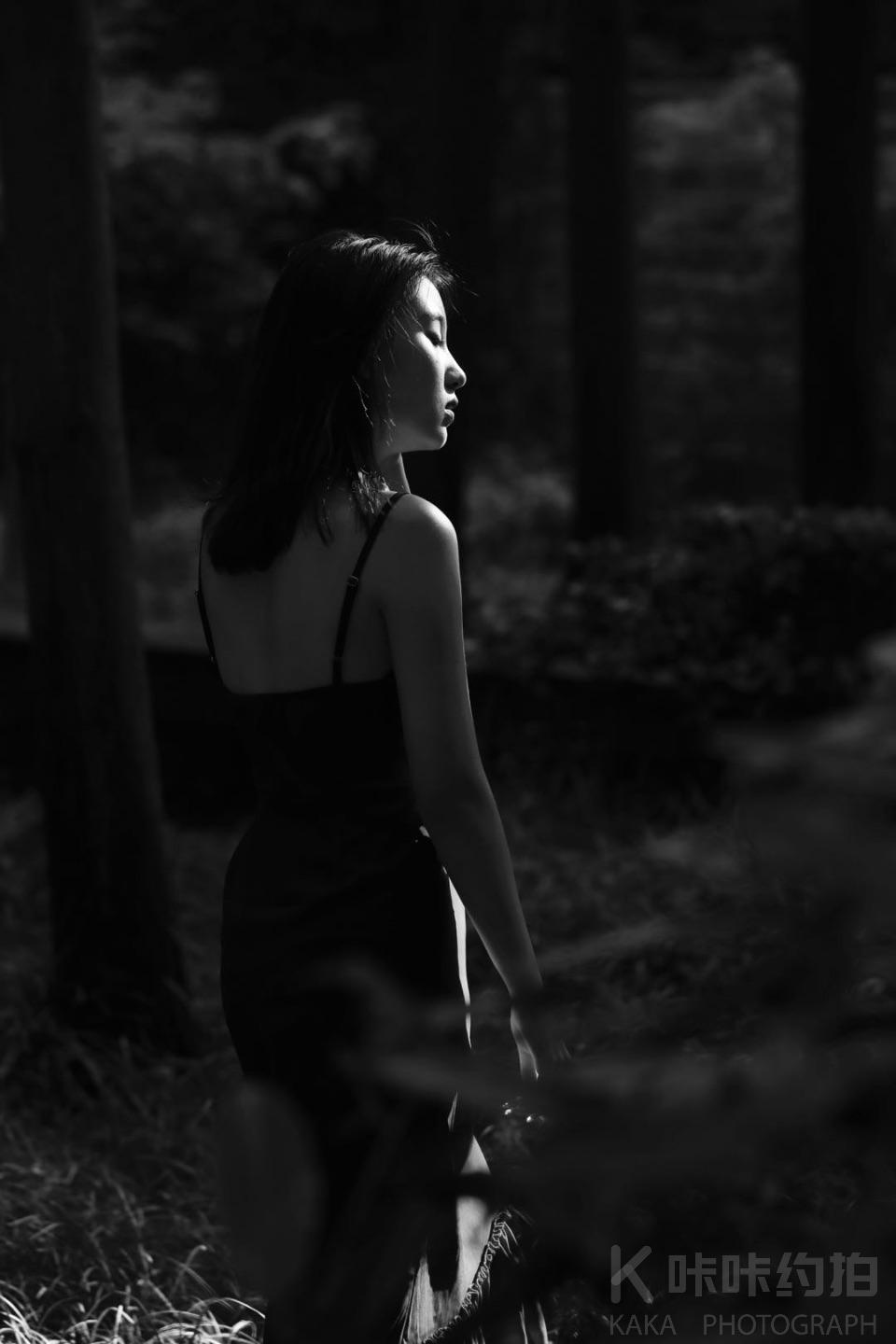 作品图 5
