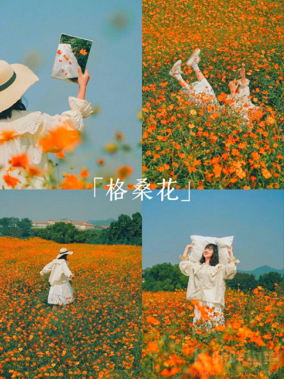 作品图 4