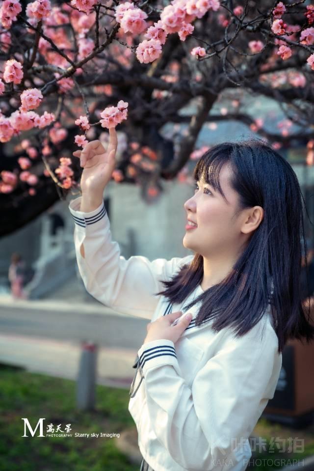 作品图 5