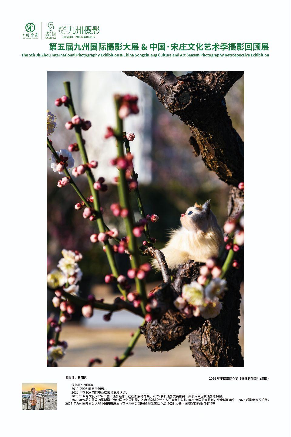 作品图 2