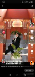 小毛豆董太太