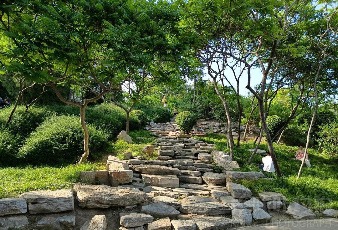 场地图 2
