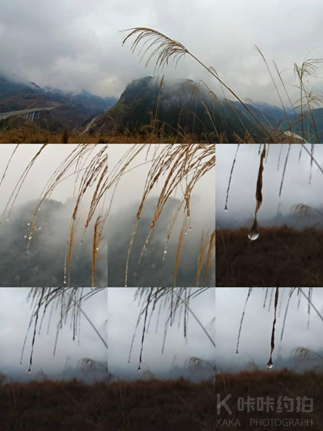 作品图 3