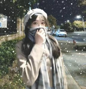 狐狸