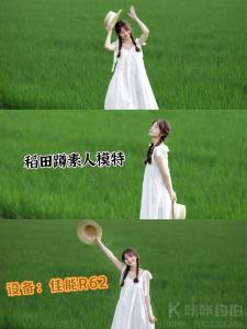 卿
