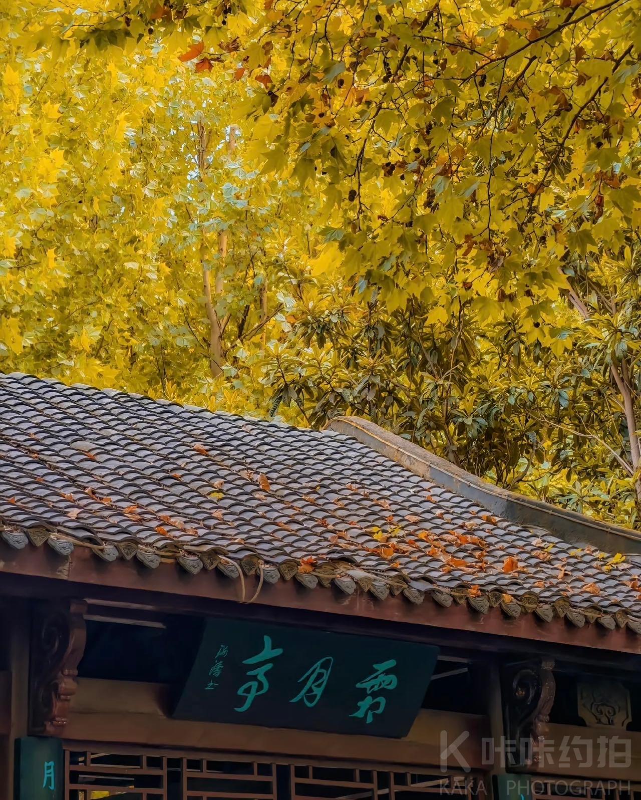 场地图 2