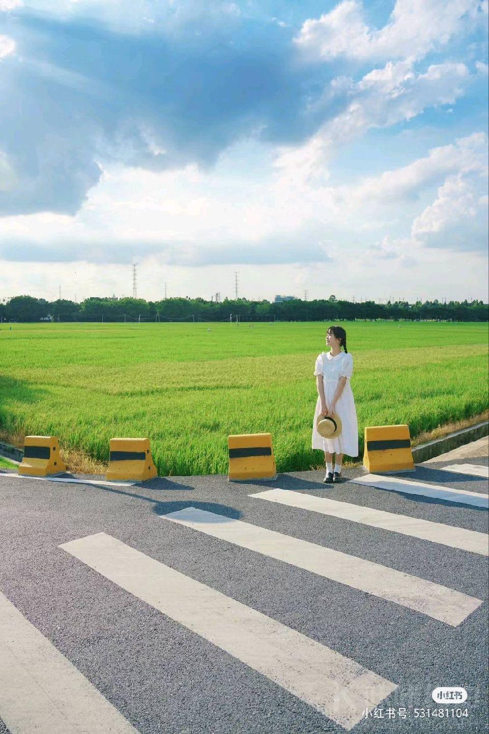 场地图 3