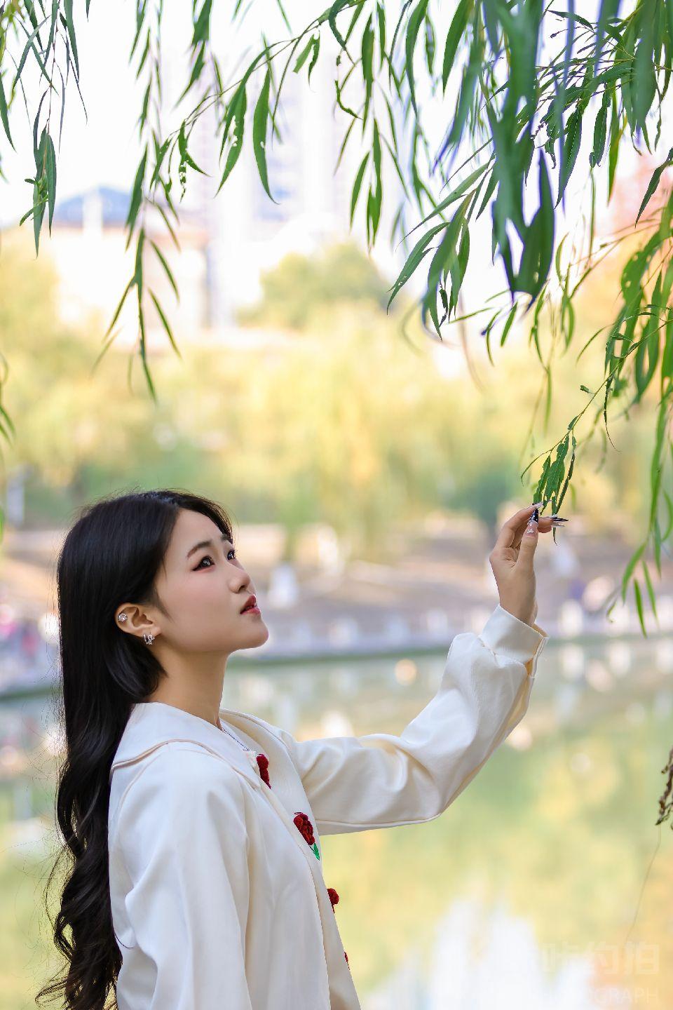 作品图 6