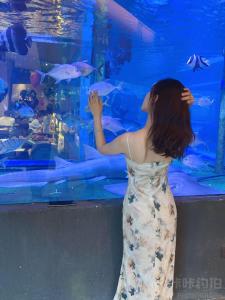 晓姌