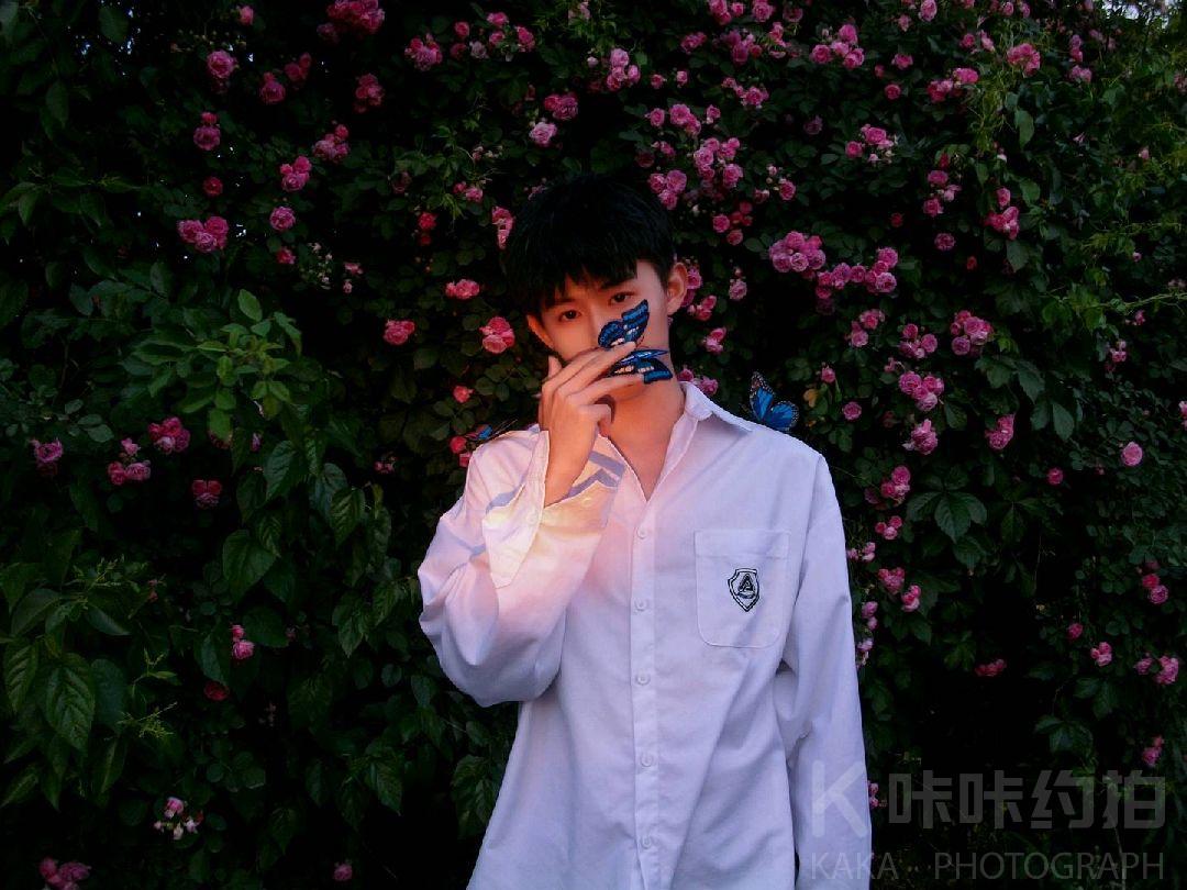 小樱花