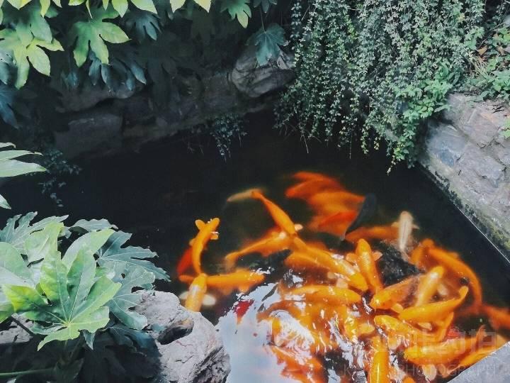 场地图 2