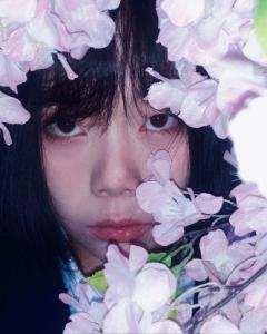 魔芋爽