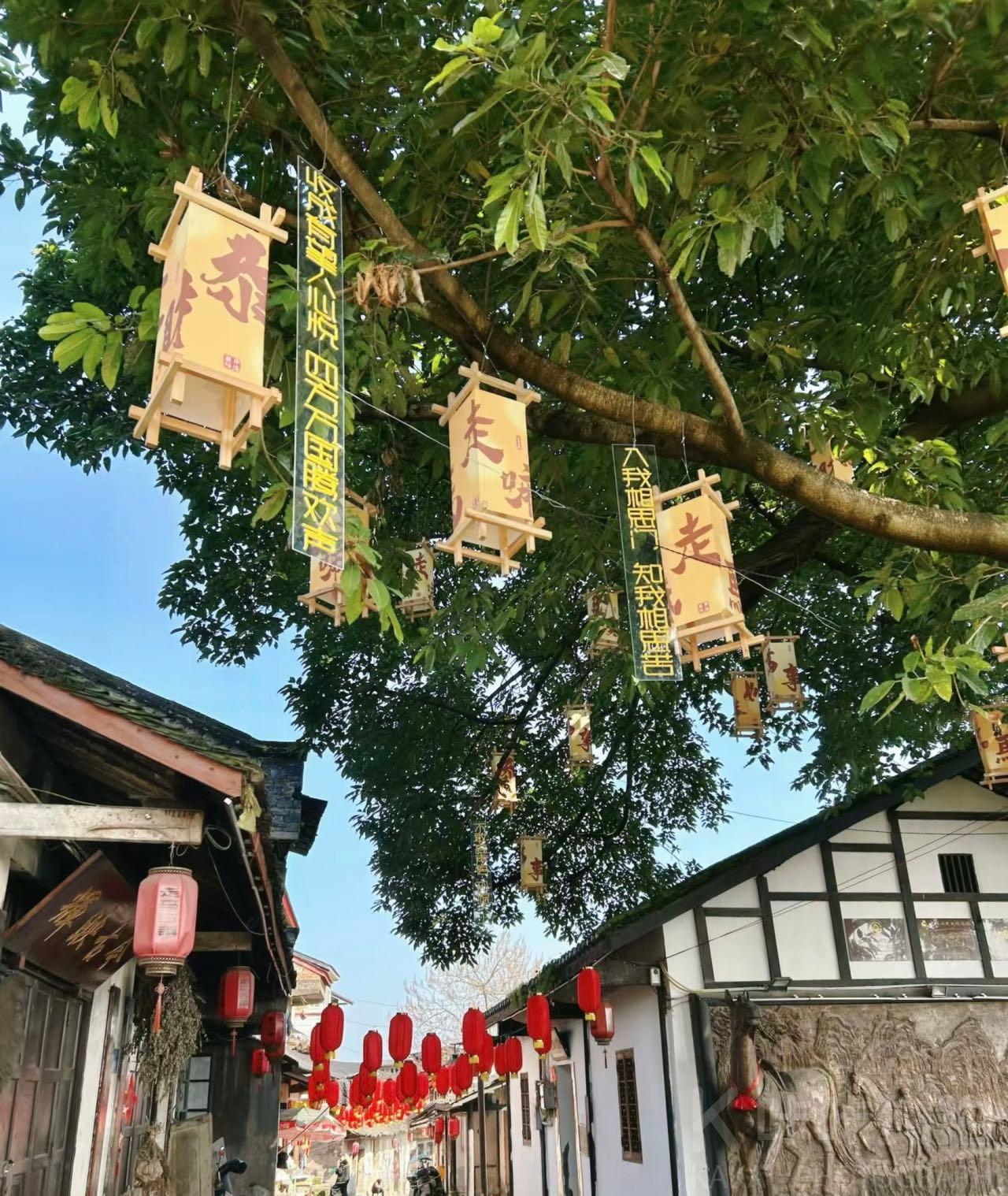 场地图 2