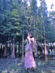 会子