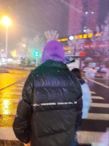 什么都不怕
