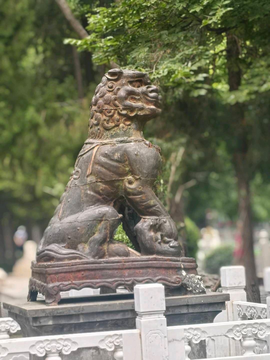 作品图 8