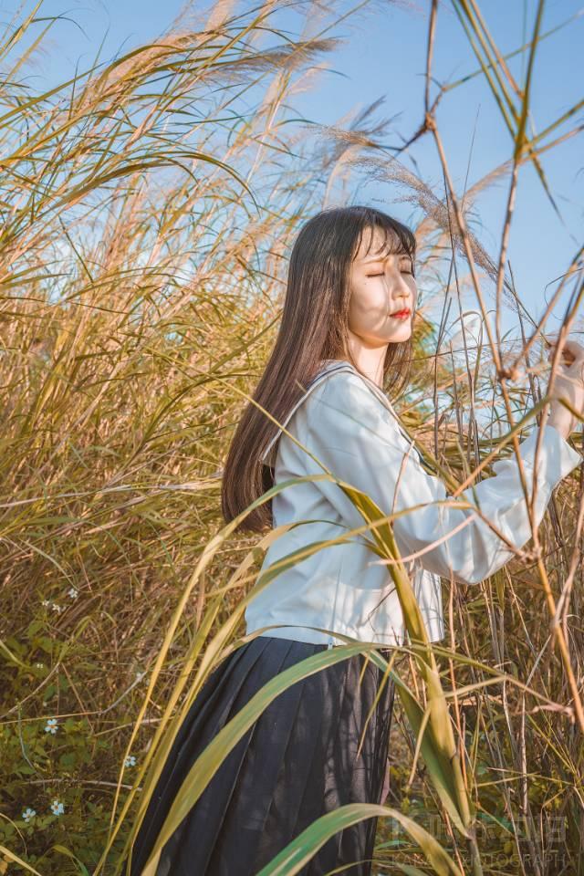 作品图 8