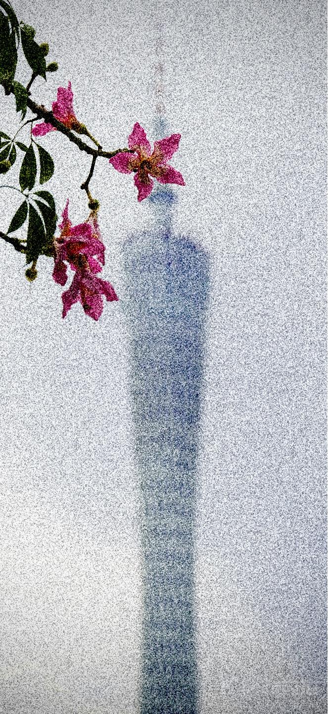 作品图 4