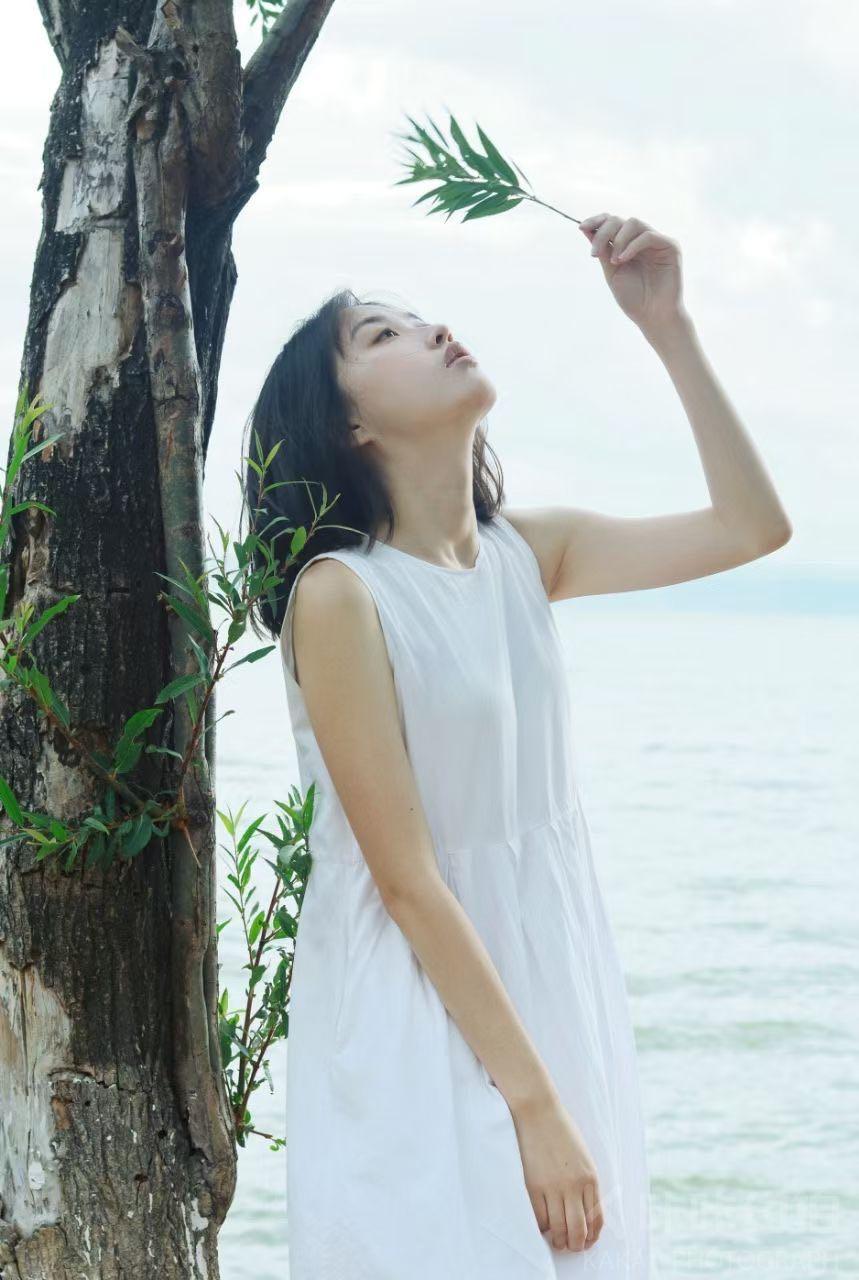 作品图 6
