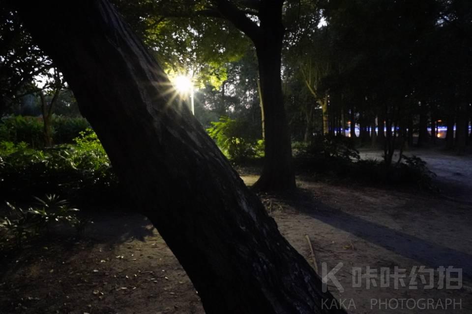世纪公园