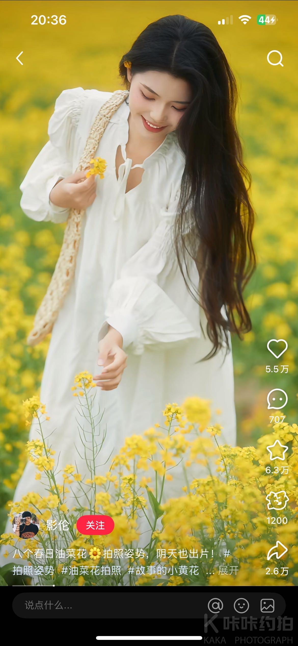 作品图 1