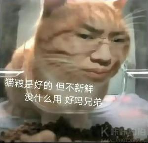 小宸相机