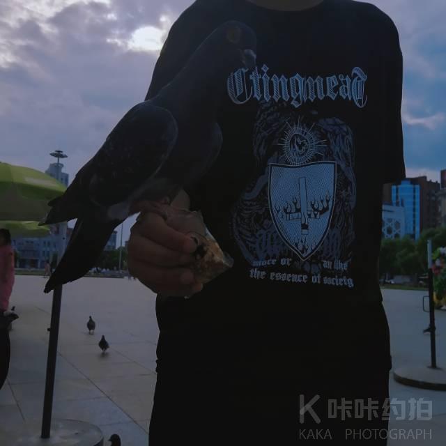 作品图 2