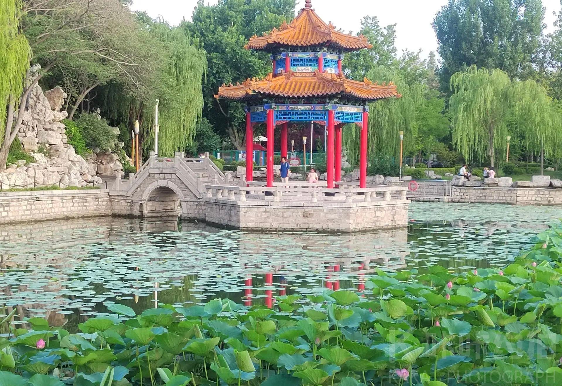 场地图 5