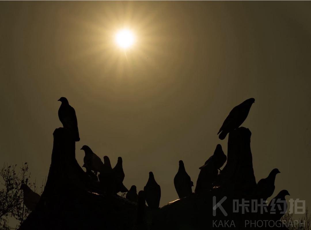 作品图 2