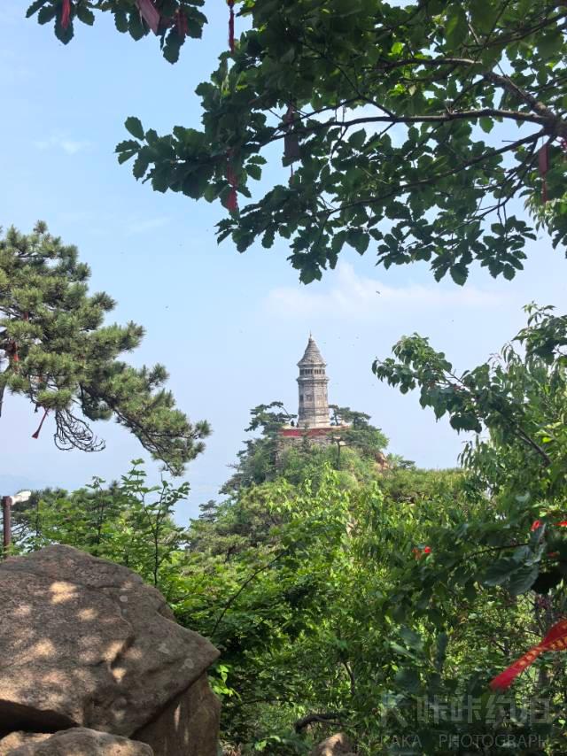 作品图 2
