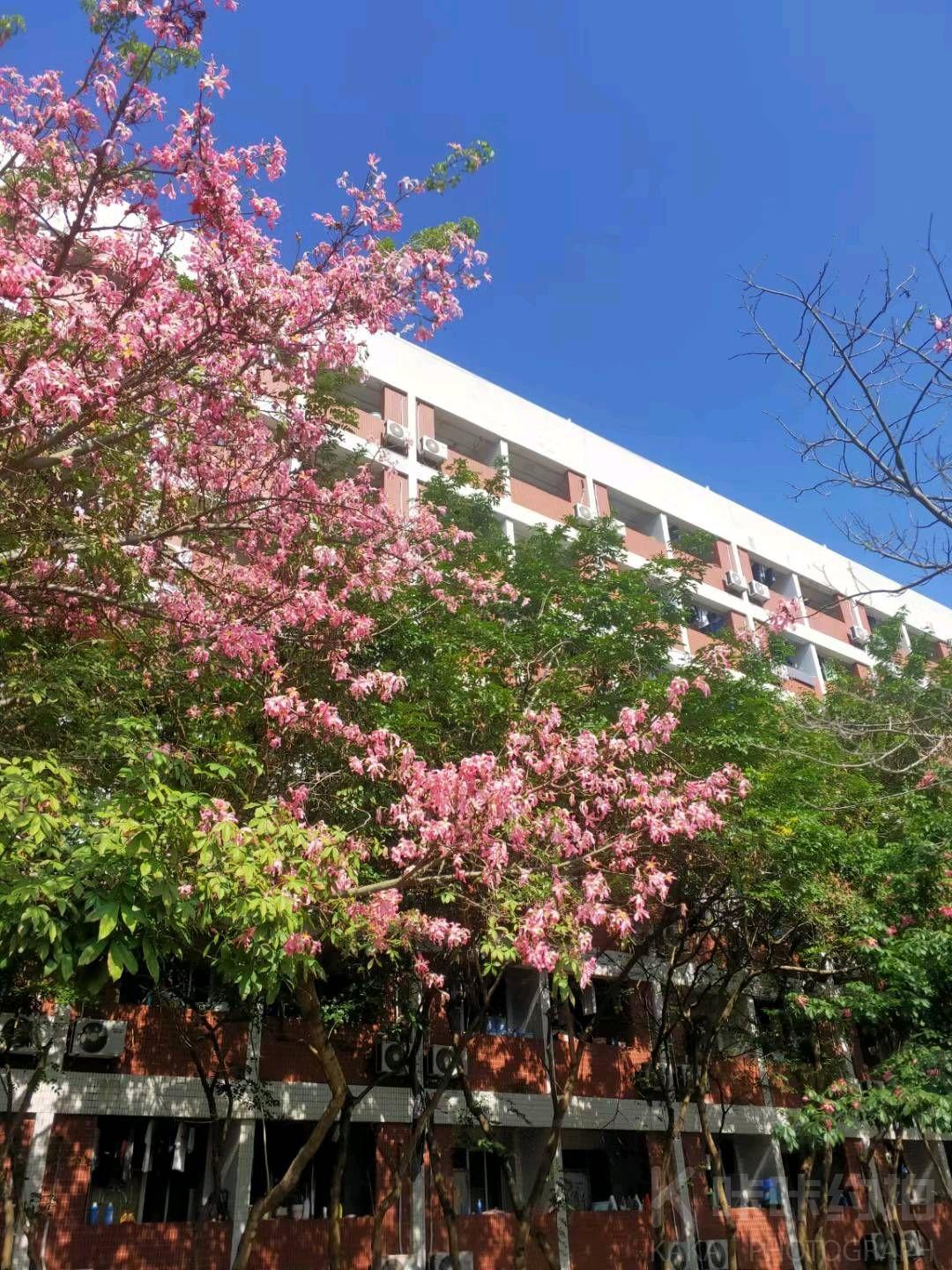 场地图 7