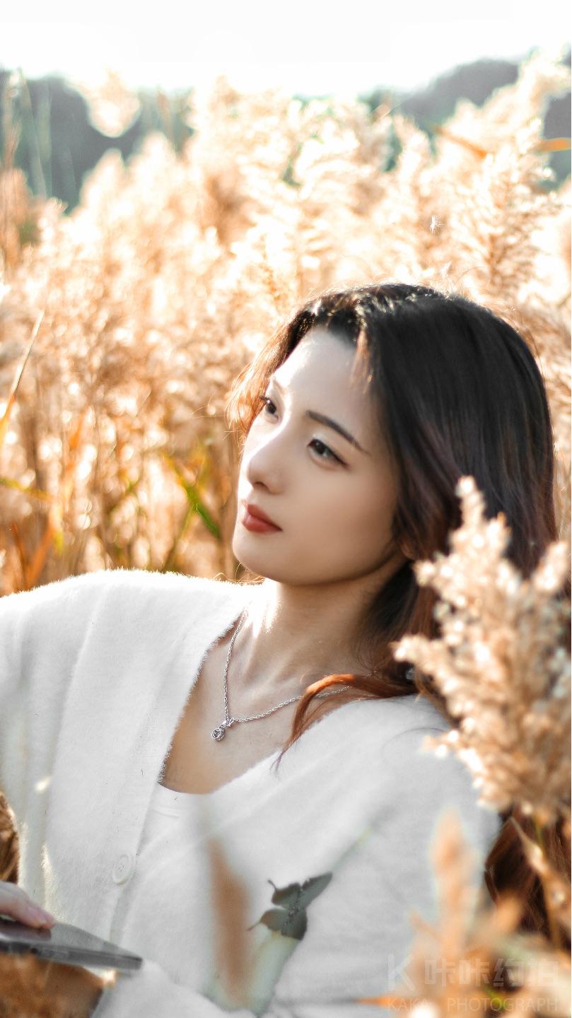 作品图 9