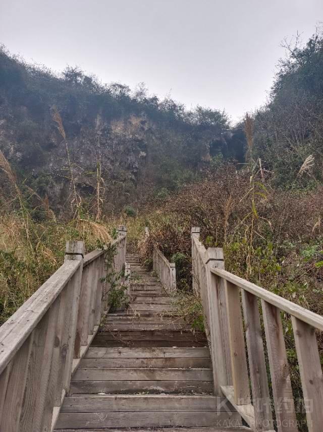 作品图 2