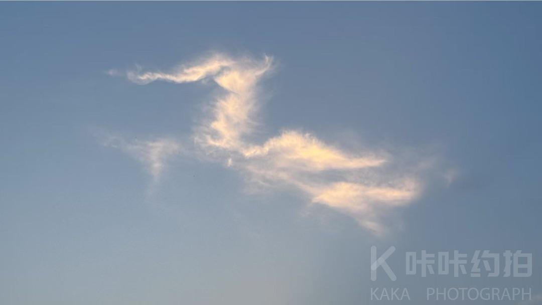 作品图 7