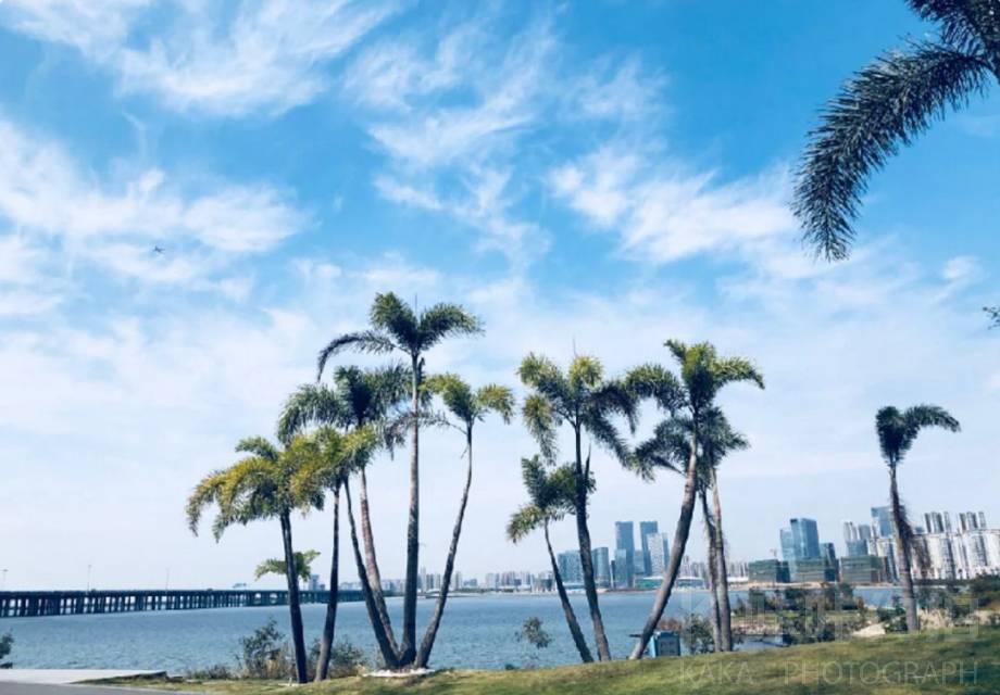 深圳前海石公园