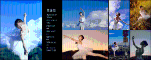 元子猫