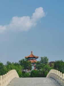 阿汤