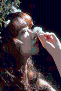 浅画