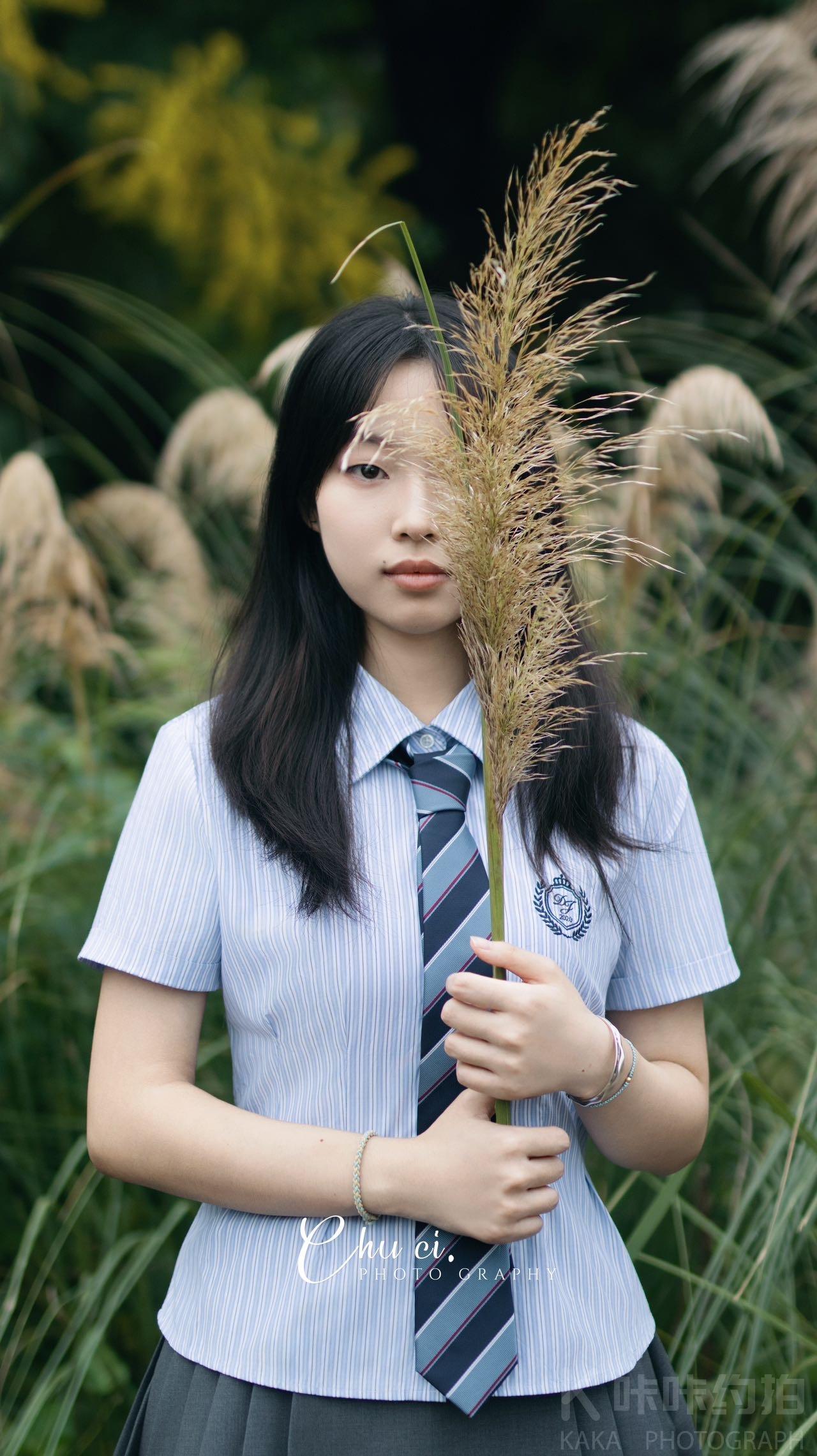 作品图 7
