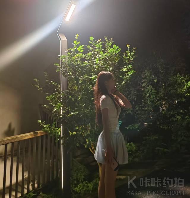 作品图 1