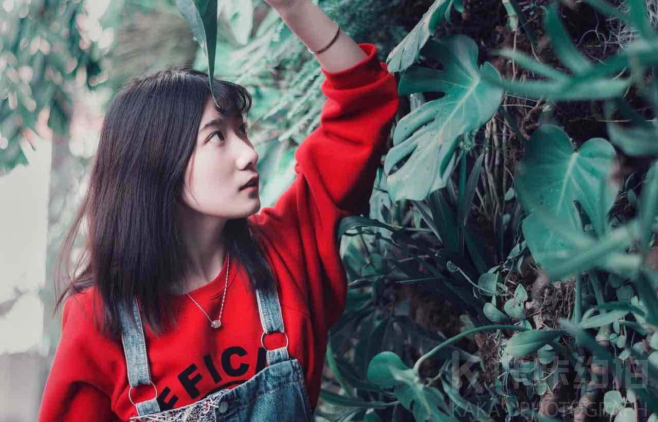 作品图 2