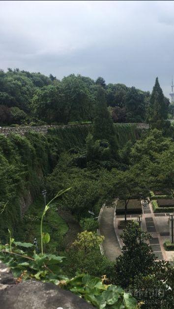 八字山公园