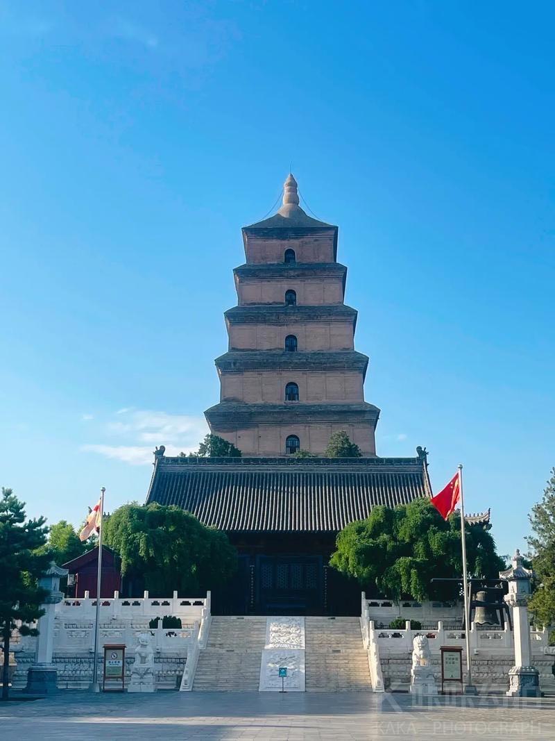 场地图 2