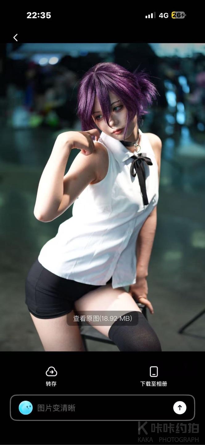 作品图 13