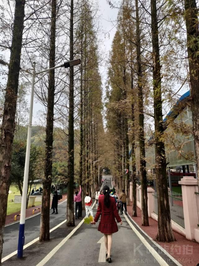 作品图 2