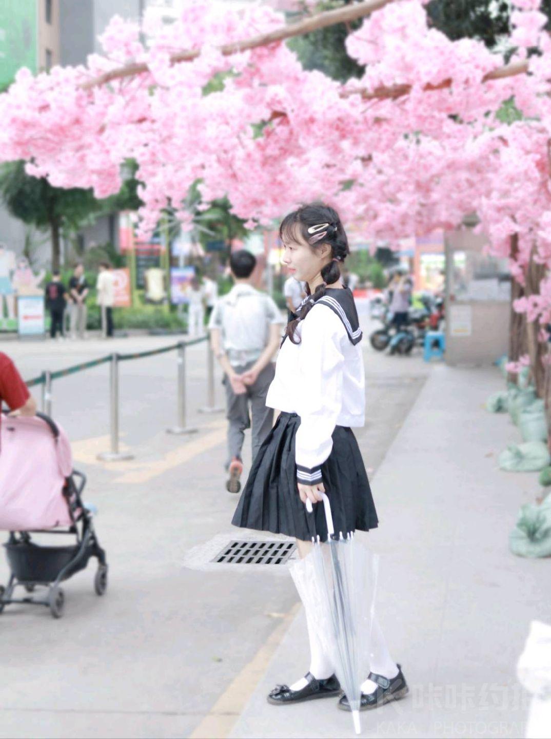 作品图 5