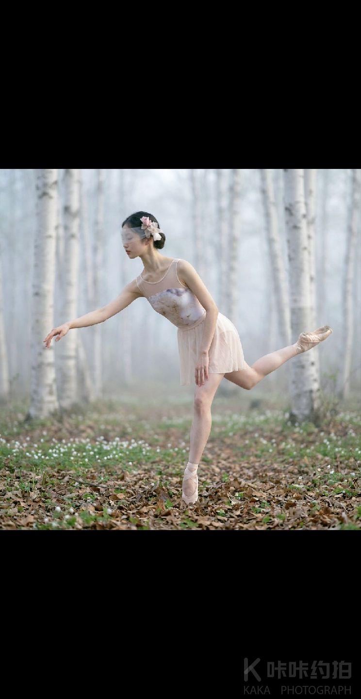 作品图 5