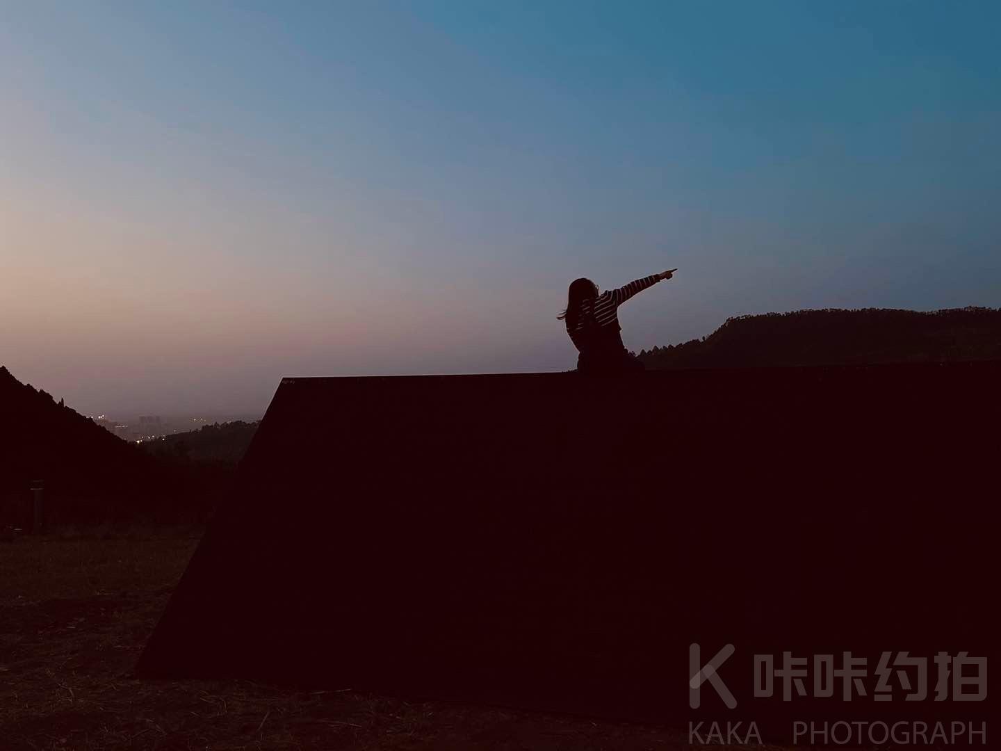墙墙猫