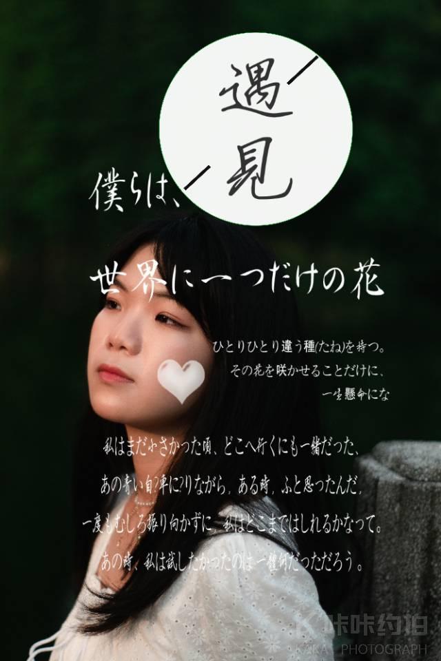 作品图 6